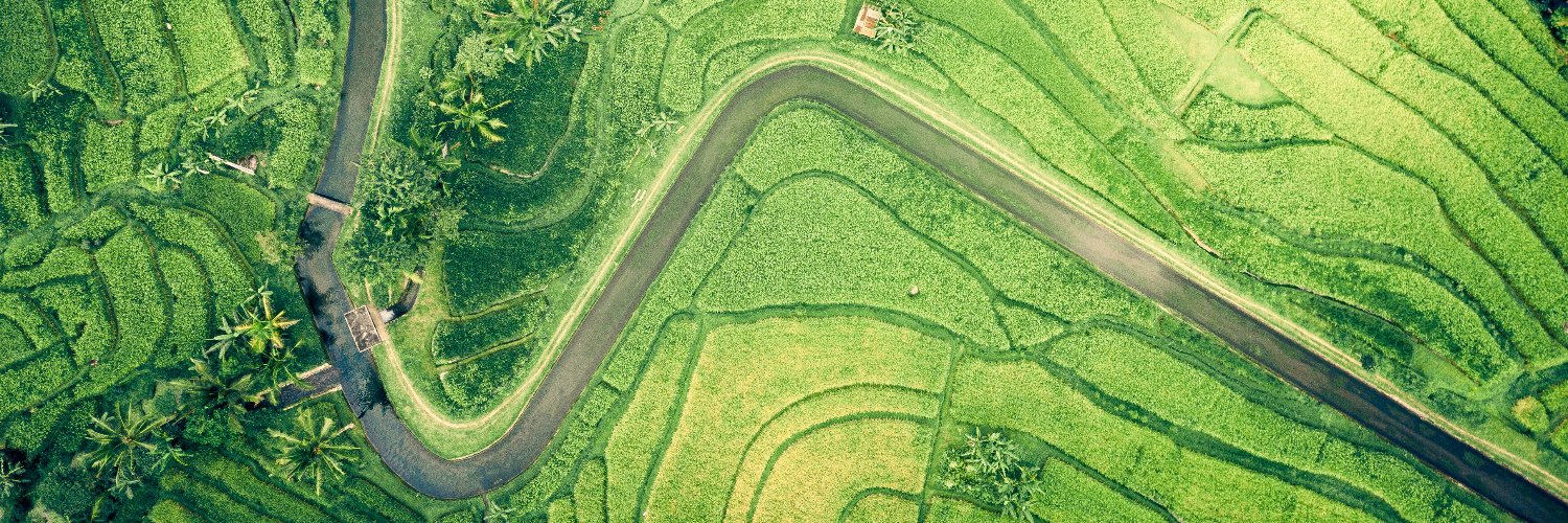 TransCap Initiative banner