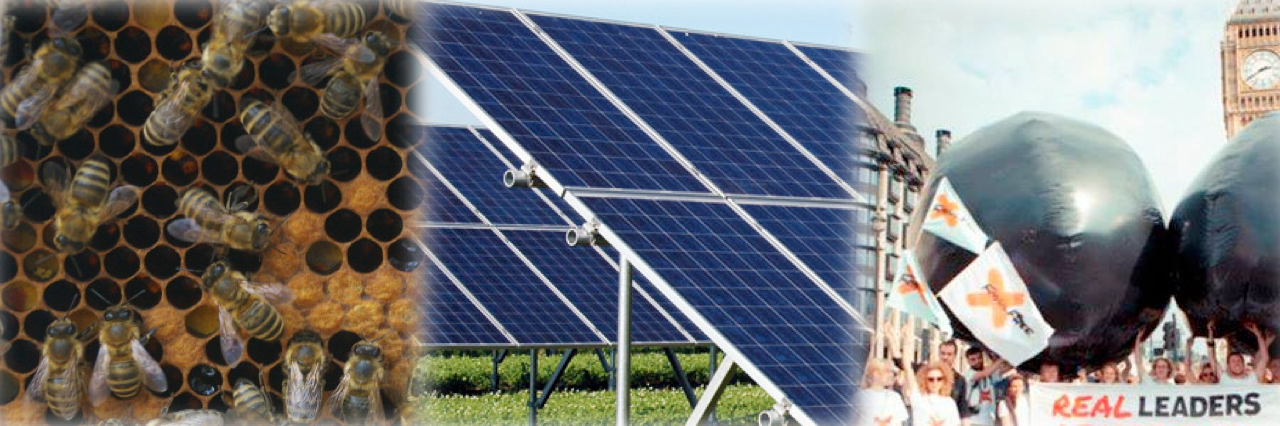icenvironmental's profile banner image