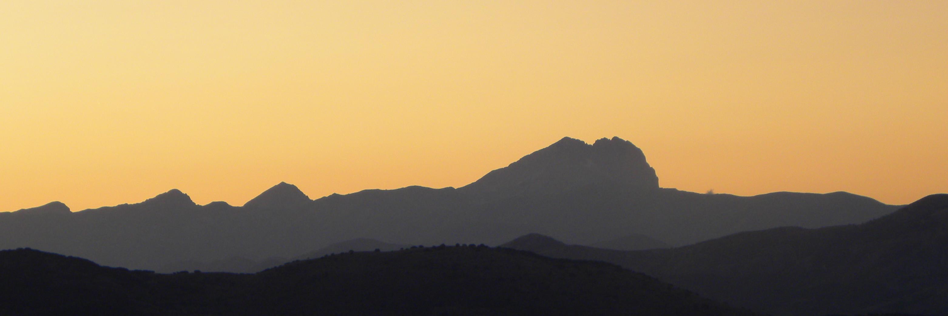 bucci_mara's profile banner image