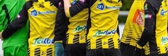 ⚽️ PH Almelo banner