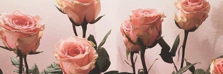 itsstilljo's profile banner image