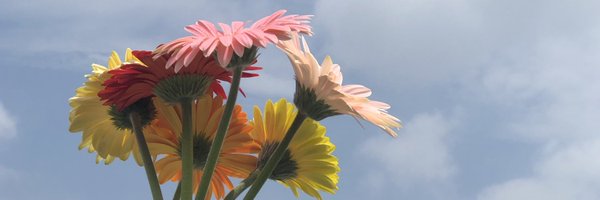 KedderSc Profile Banner