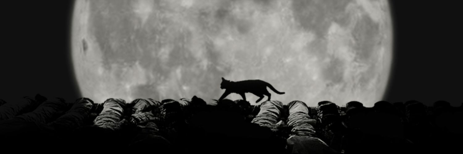 Q3345147706's profile banner image