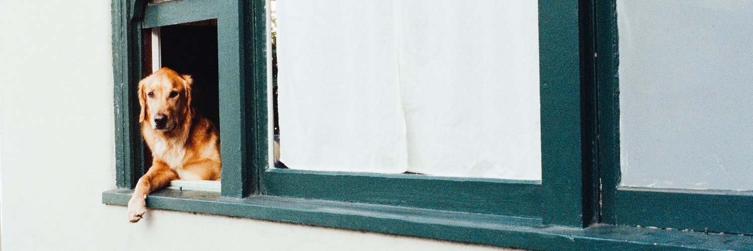 TjcPet's profile banner image