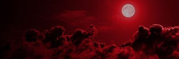 shebaddiebabe's profile banner image