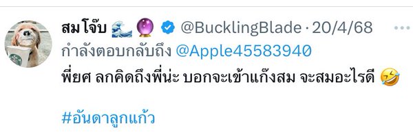 Apple45583940 Profile Banner