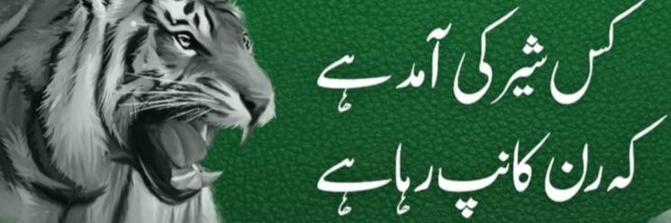 Adnanarif banner