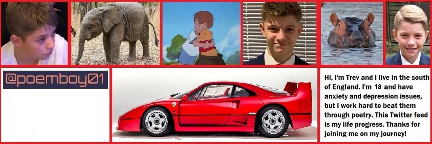 Trev banner