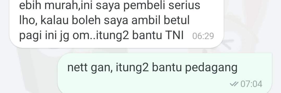 bayu banner