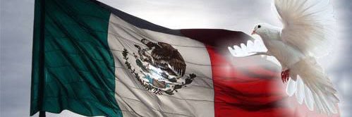 Ernesto Rico Guth banner