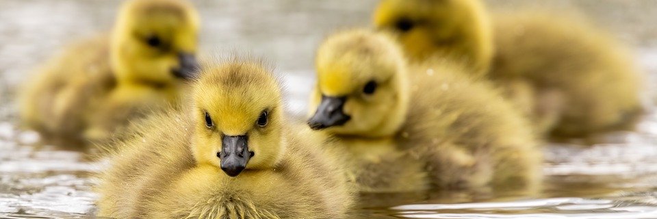 88bit.lens(💙,🧡) banner