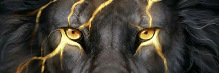 mothowame's profile banner image