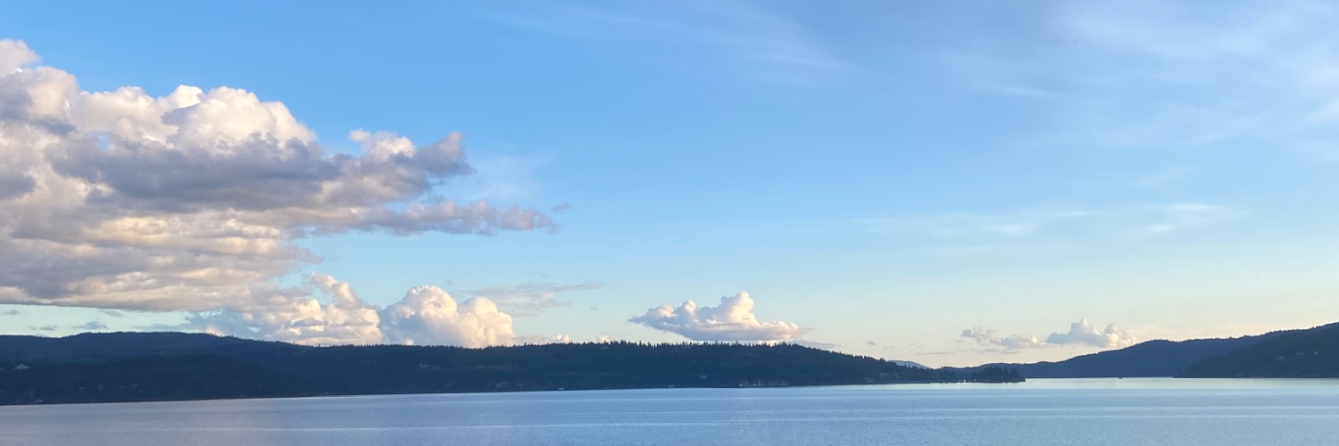 julesatbee's profile banner image