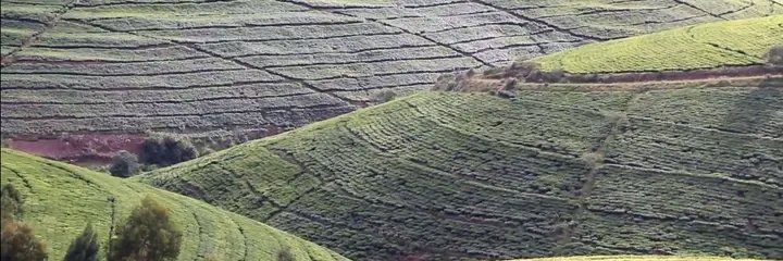 Rukomo Sector banner