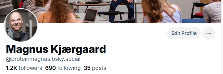 Magnus Kjaergaard banner