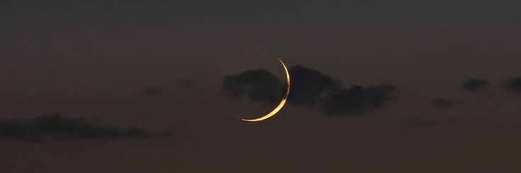 vvrielle_'s profile banner image