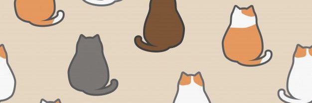 CryptoCatTW (🐱,🇹🇼) banner