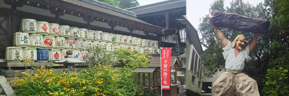 skyJI11's profile banner image