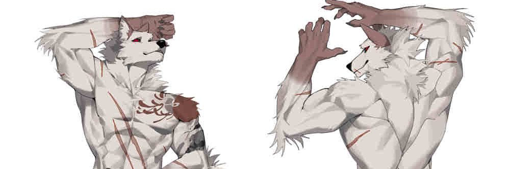 白色大狗子 banner