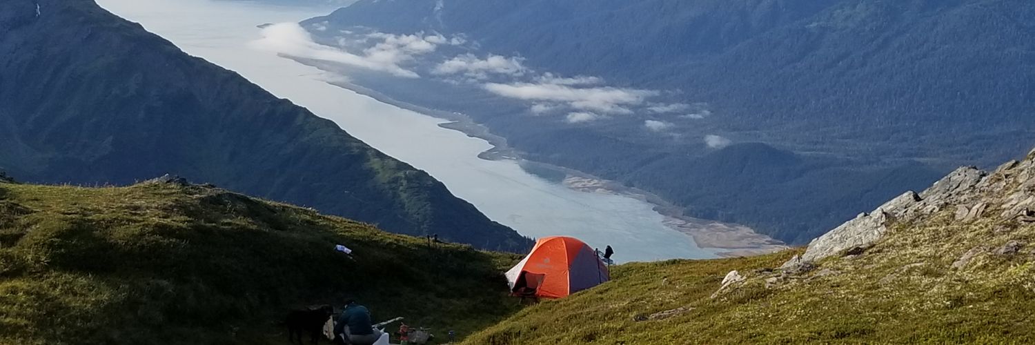 DavidELevin's profile banner image