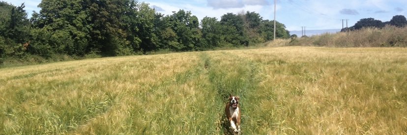 Jason Harris-Wright banner