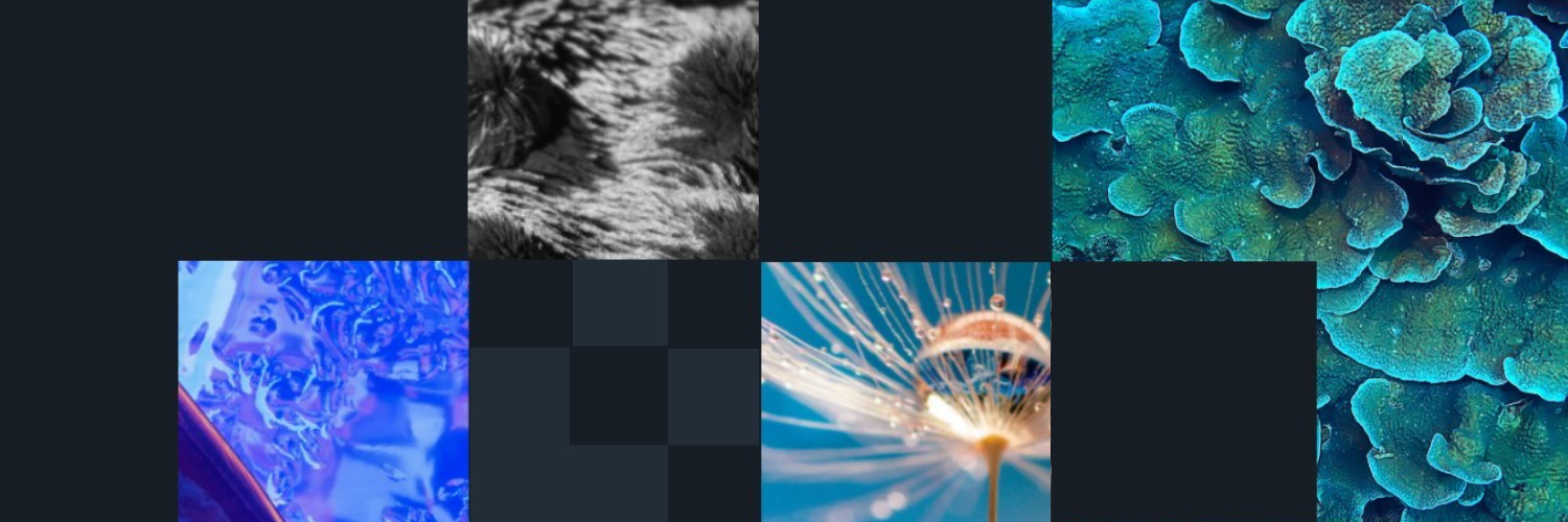 Biostrata's profile banner image