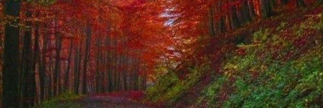Stevie_Chinx89's profile banner image