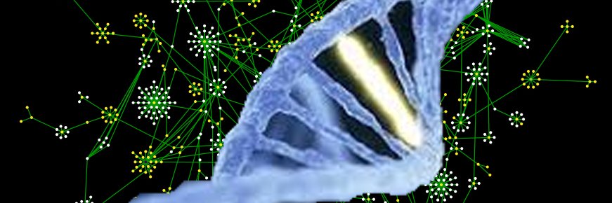 Dr Aurora Pujol banner