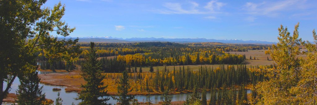 Pinebrook G & C.C. banner