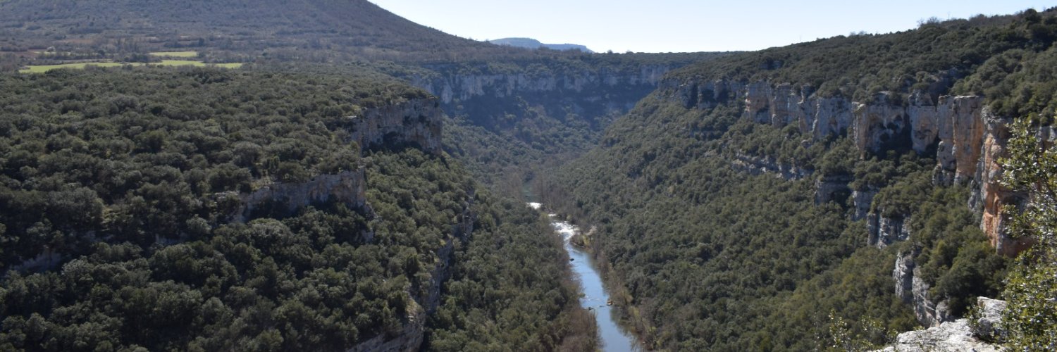 Pajarines's banner