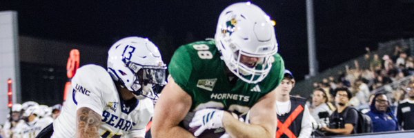 BearTenney Profile Banner