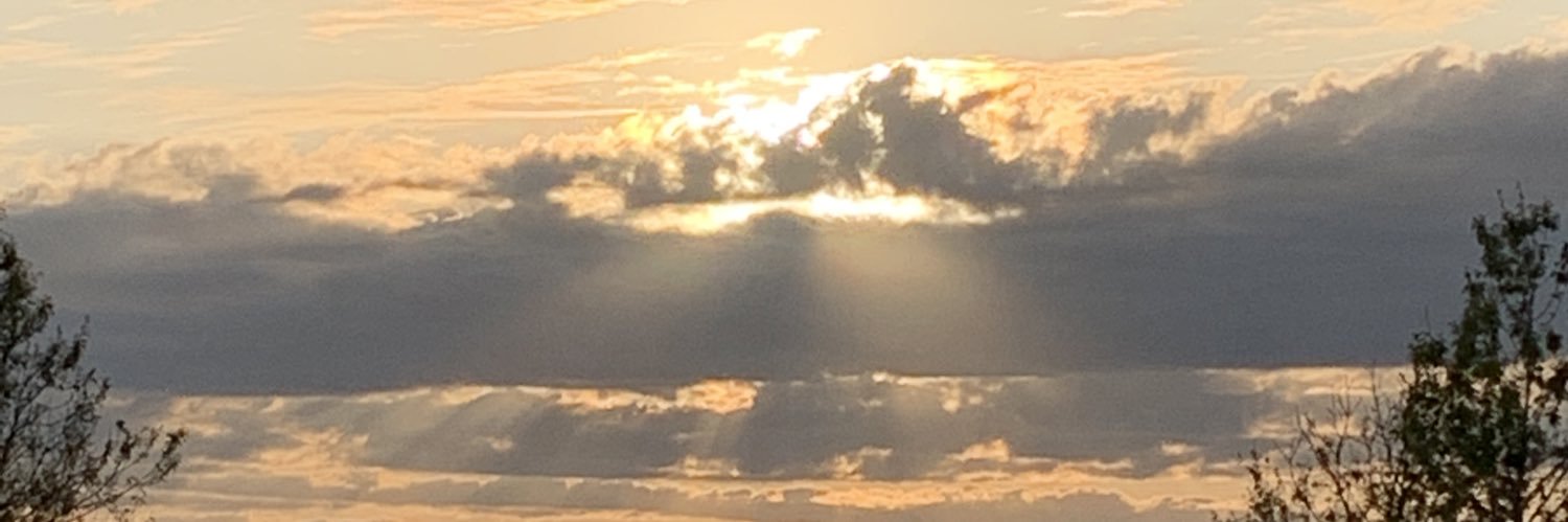 MattNavigator's profile banner image