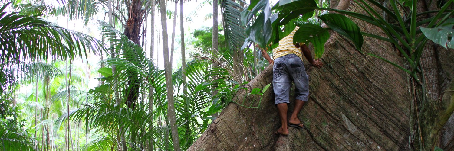 Comissão Pró-Índio de São Paulo banner