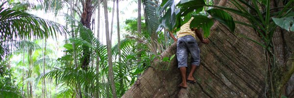 proindio Profile Banner