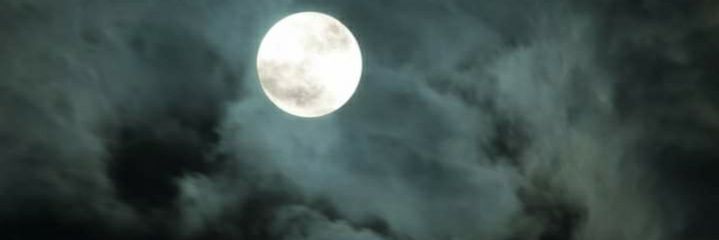 MeshellMyaBell's profile banner image