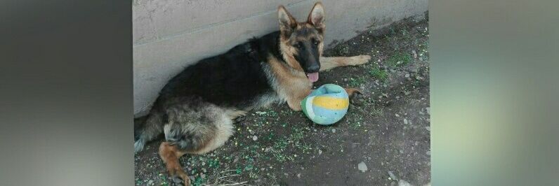 Werito_CU's profile banner image