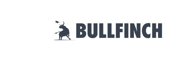 BullfinchGroup Profile Banner