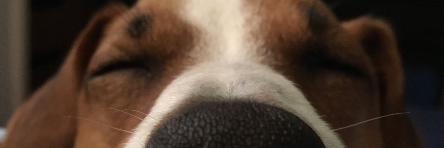 degoutale's profile banner image