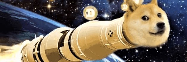 Dogecoin_Family💎 banner