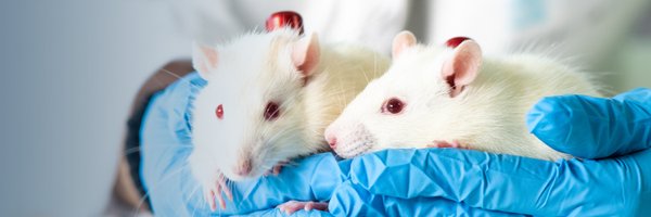 instechlabs Profile Banner