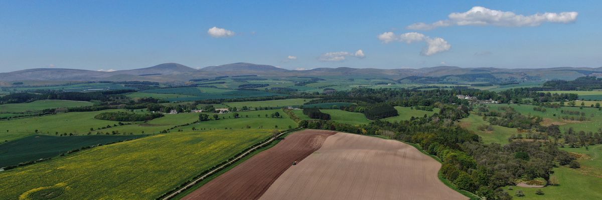 HempNorthUK banner