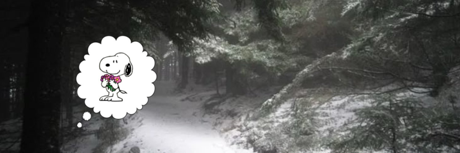 nat ⋆౨ৎ˚⟡˖ ࣪'s banner