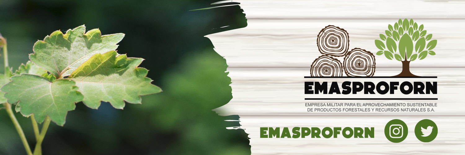 emasproforn's profile banner image