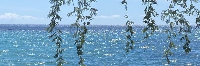 Opu29's profile banner image