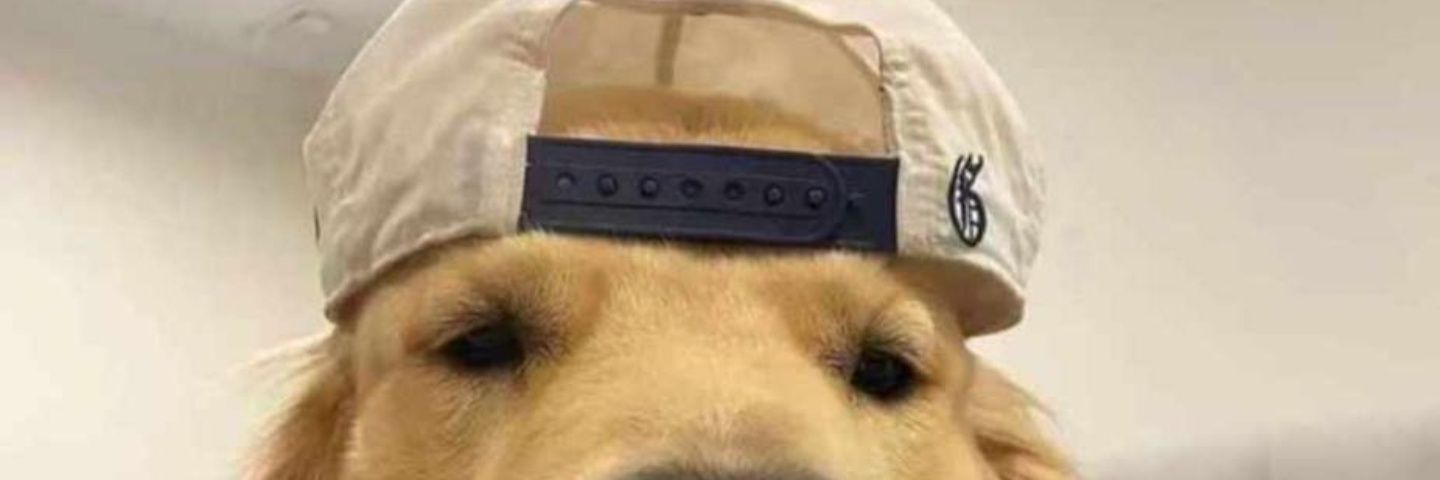 SOG ∞🏌️ℏ 🔺✳️ banner