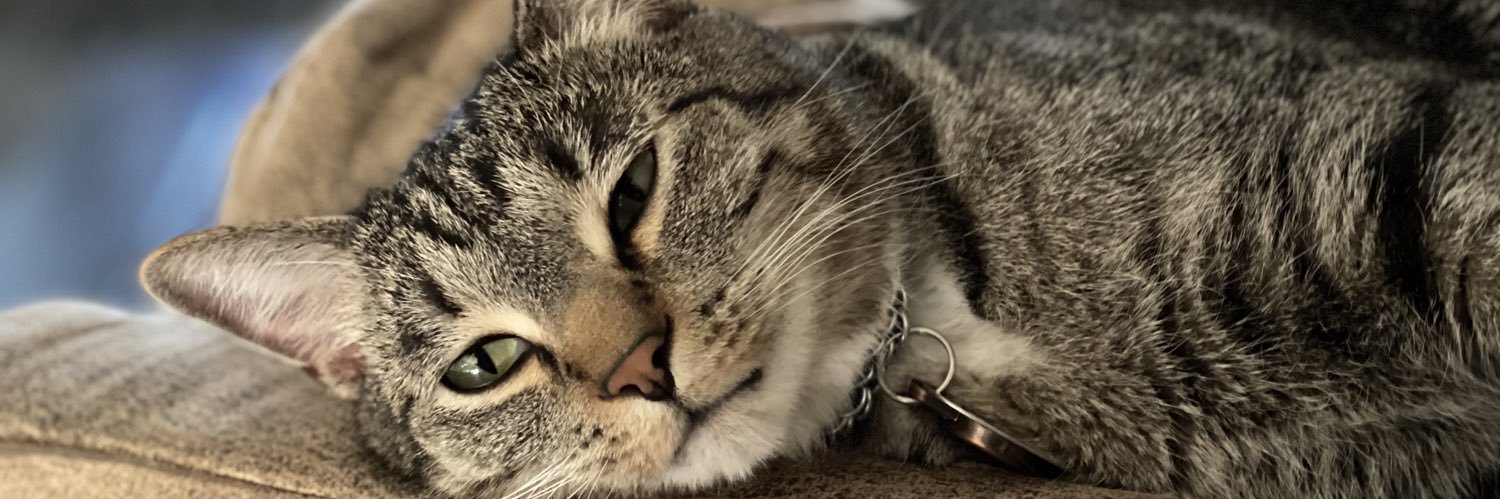 Aaron Gonzales banner