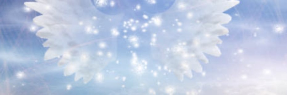 chrysalis555's profile banner image