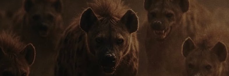 Dylan_Mrse's profile banner image