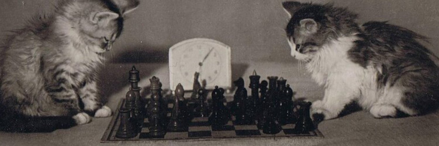 FuntimePosting's profile banner image