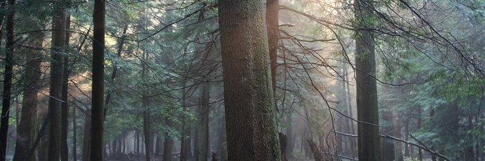 BeccaBakes_'s profile banner image